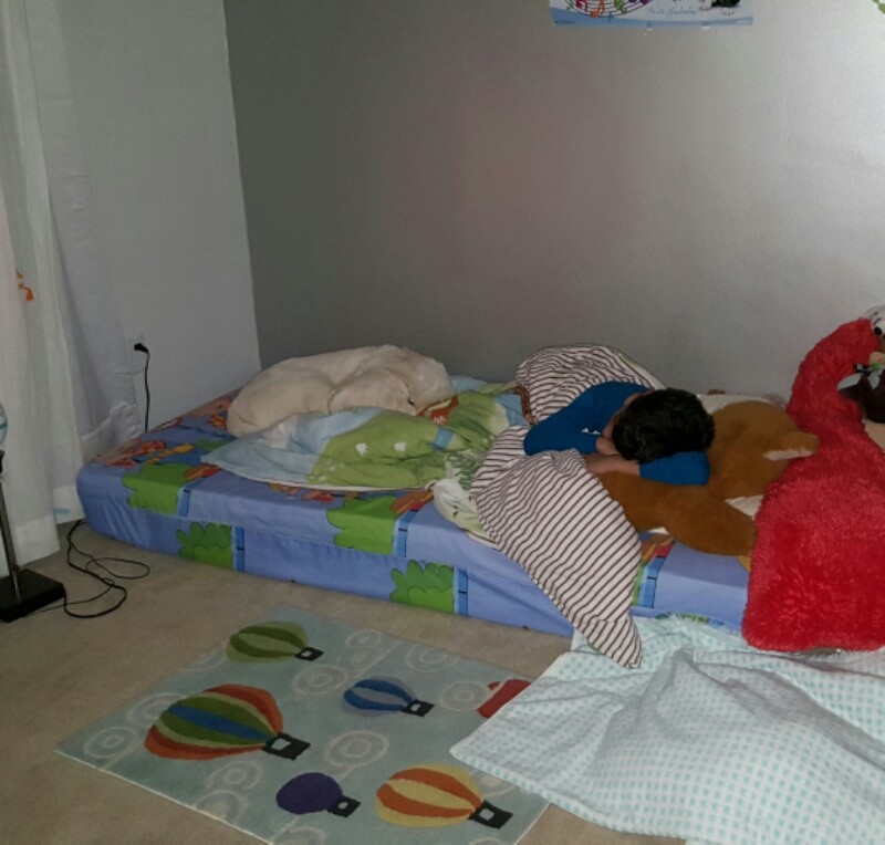 wp-1452010828101.jpg