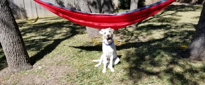 Hammock Fun Hammock Fun