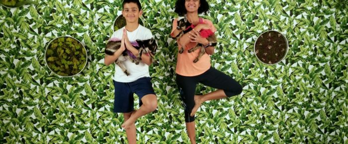Goat Yoga